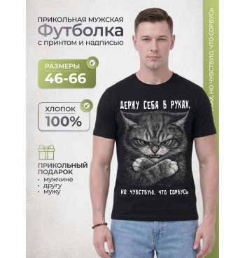 Футболка Держу себя в руках но чувствую что сорвусь