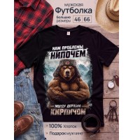 Футболка Нам проблемы нипочем держим морду кирпичом