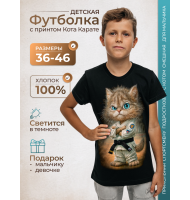 Подростковая футболка Кот каратист